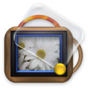 pics flowers